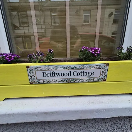 Driftwood *